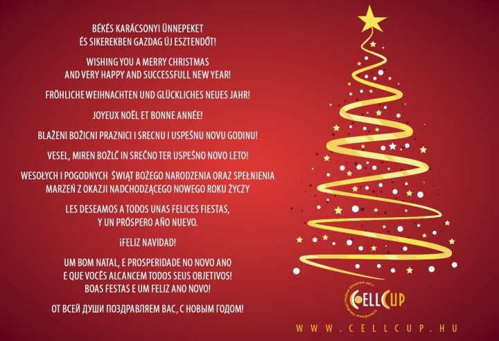 Kellemes Ünnepeket kívánunk!